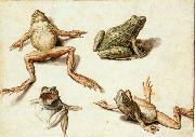 Four Studies of Frogs GHEYN, Jacob de II